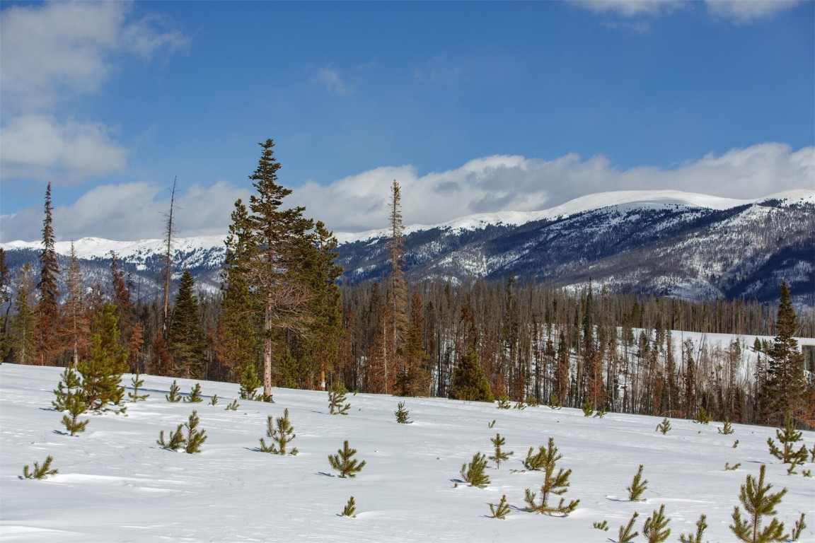 91100 Ryan Gulch ROAD 91107