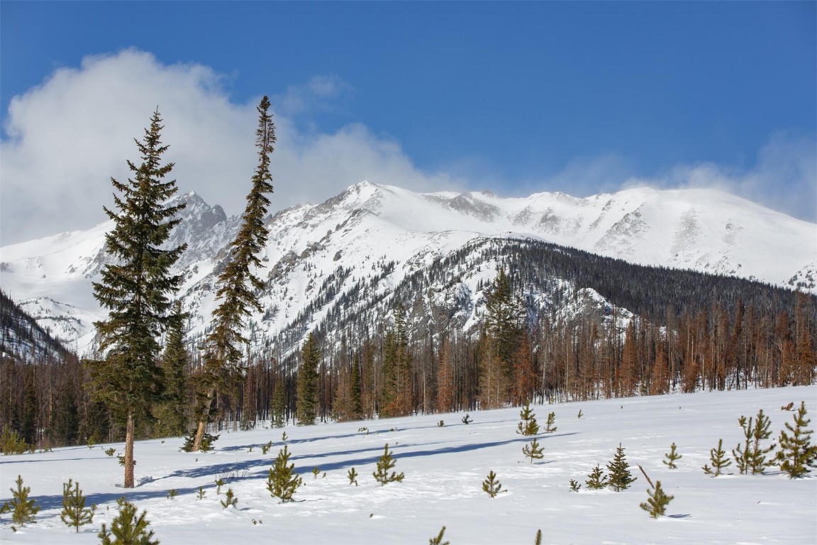 91100 Ryan Gulch ROAD 91107