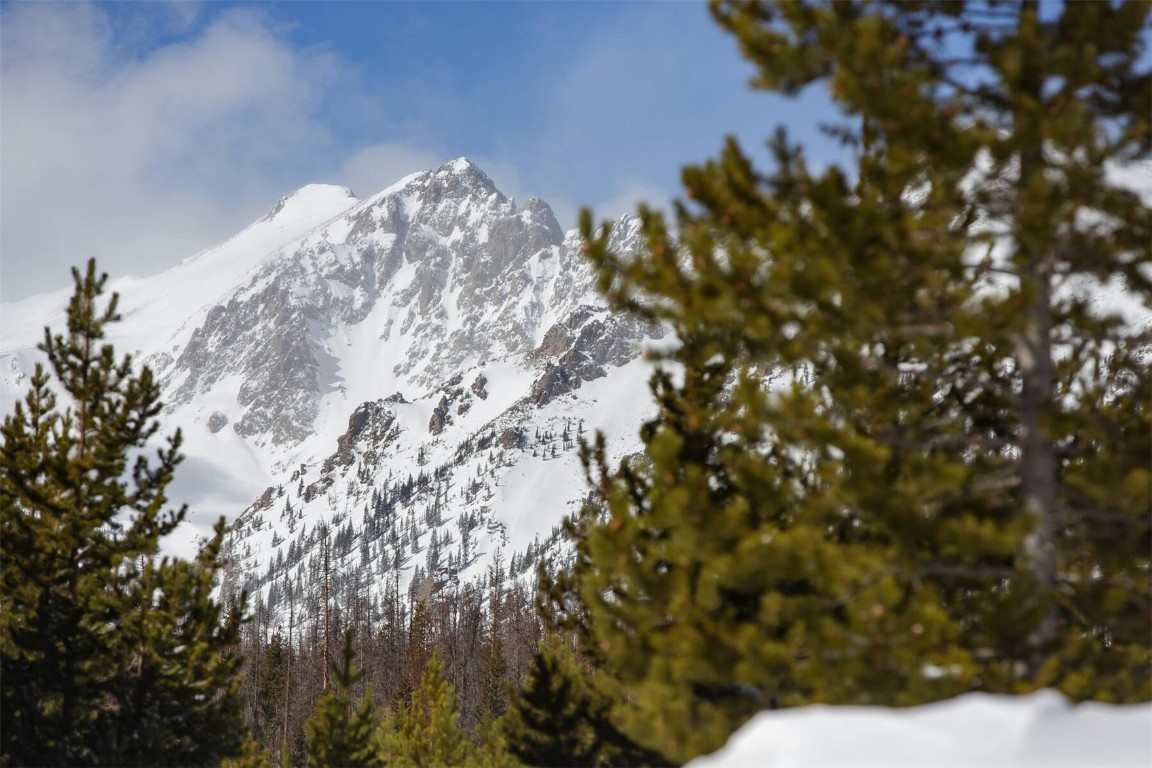 91100 Ryan Gulch ROAD 91107