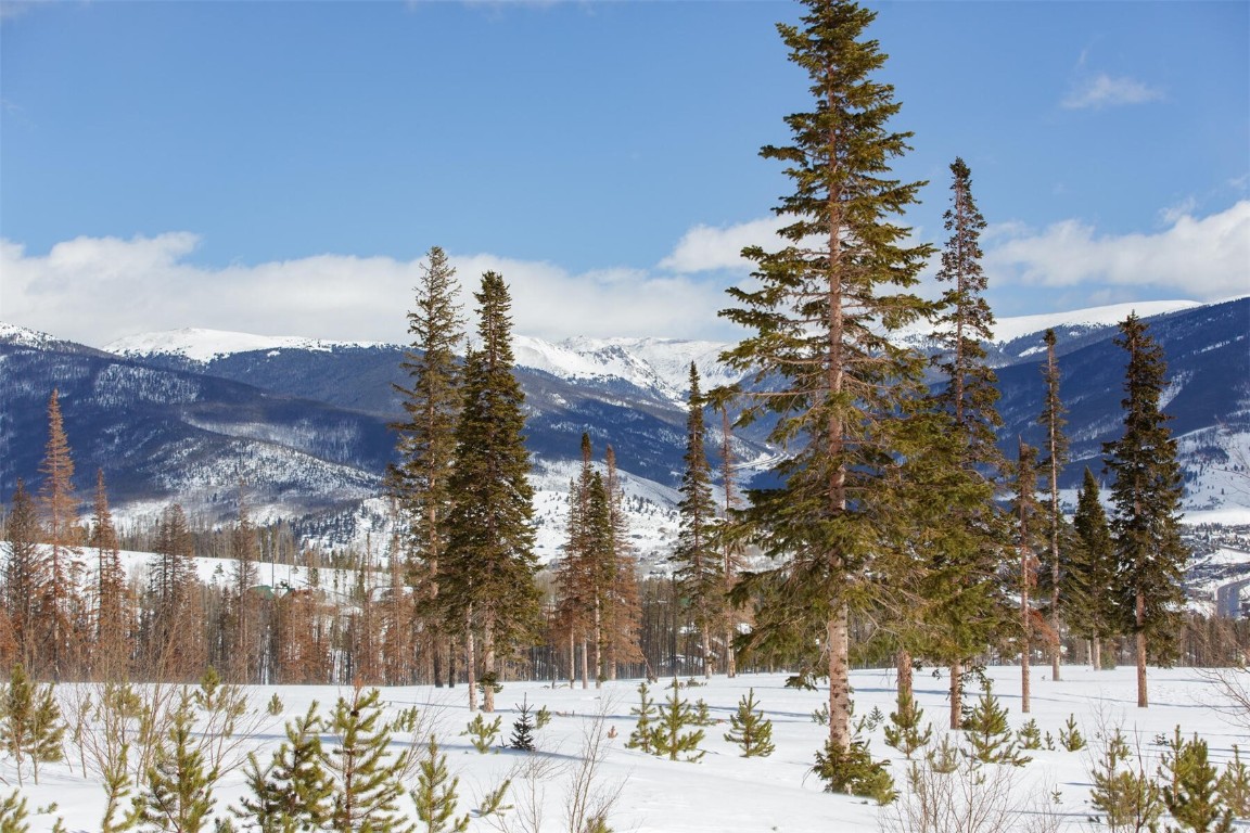 91100 Ryan Gulch ROAD 91107