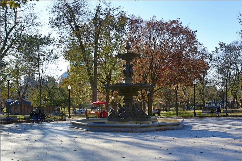 43 Winter St # 3