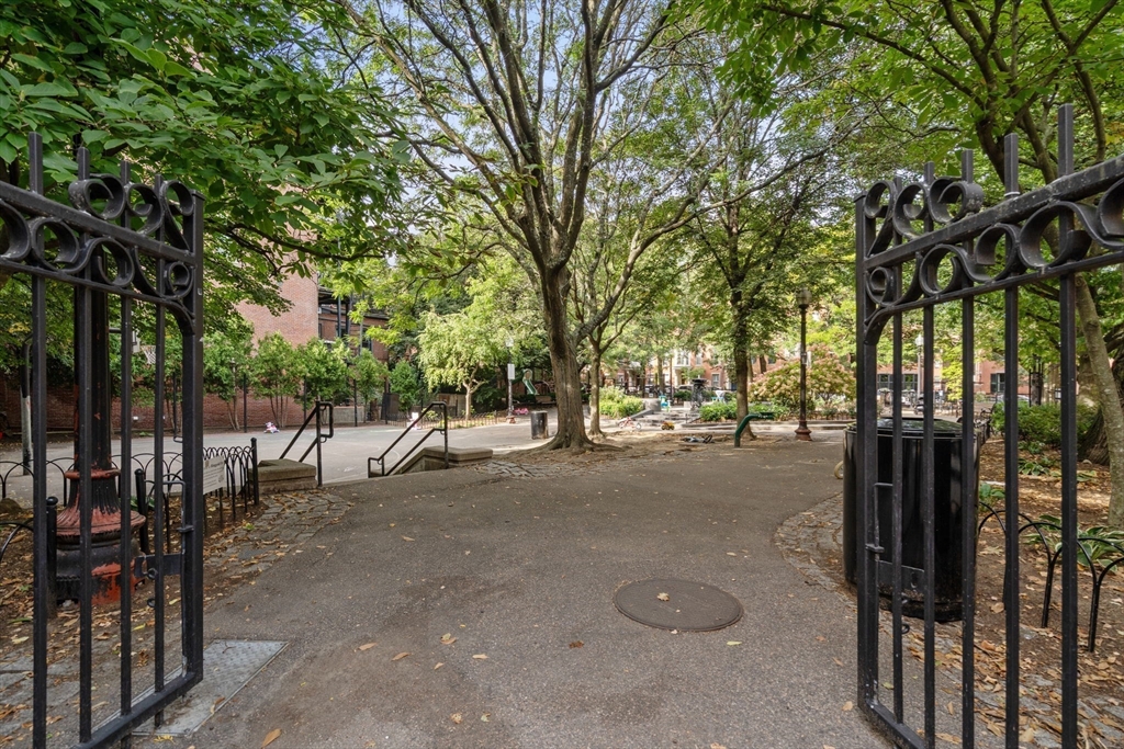 94 Waltham Street # 3
