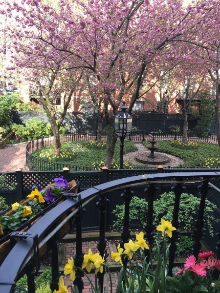 150 Appleton Street # 2A, Boston Unit: 2A