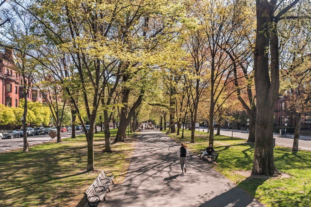 226 Commonwealth Ave. # 1