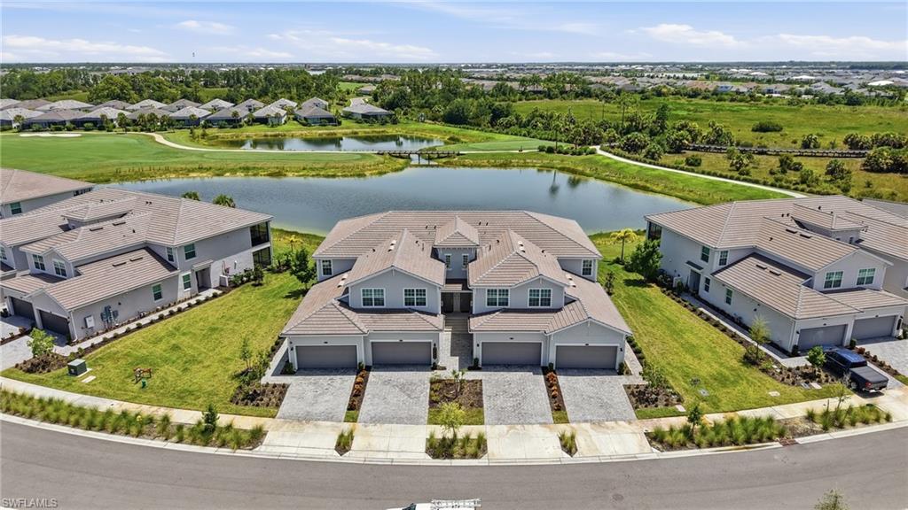 43258 Water Bird WAY 6011