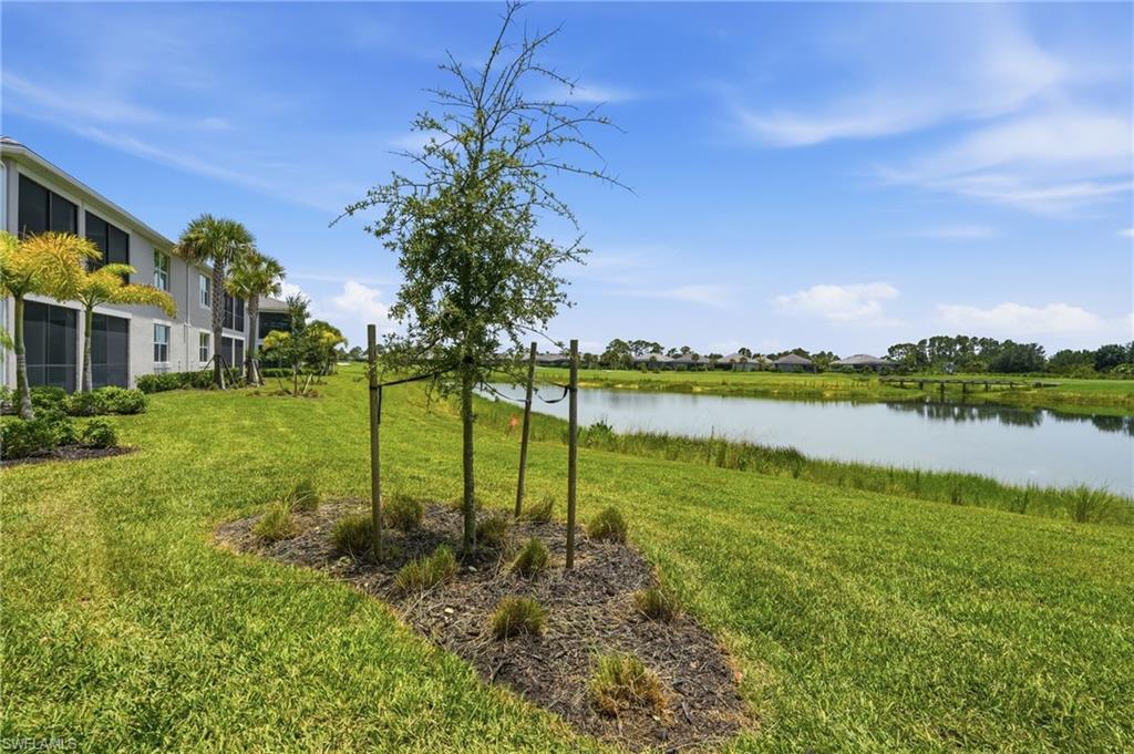 43258 Water Bird WAY 6011