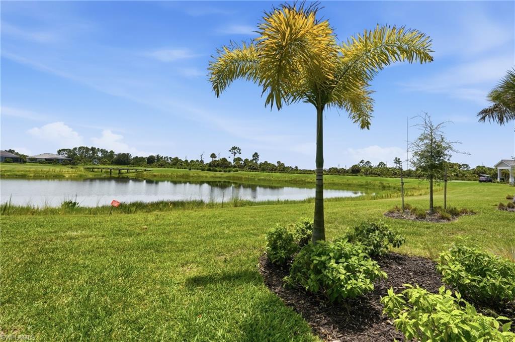 43258 Water Bird WAY 6011