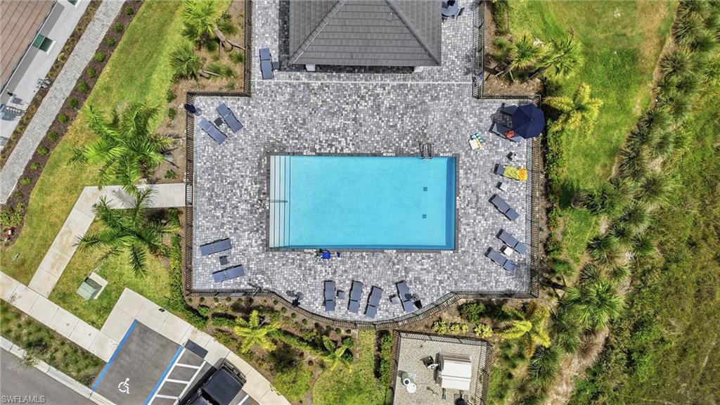 43258 Water Bird WAY 6011
