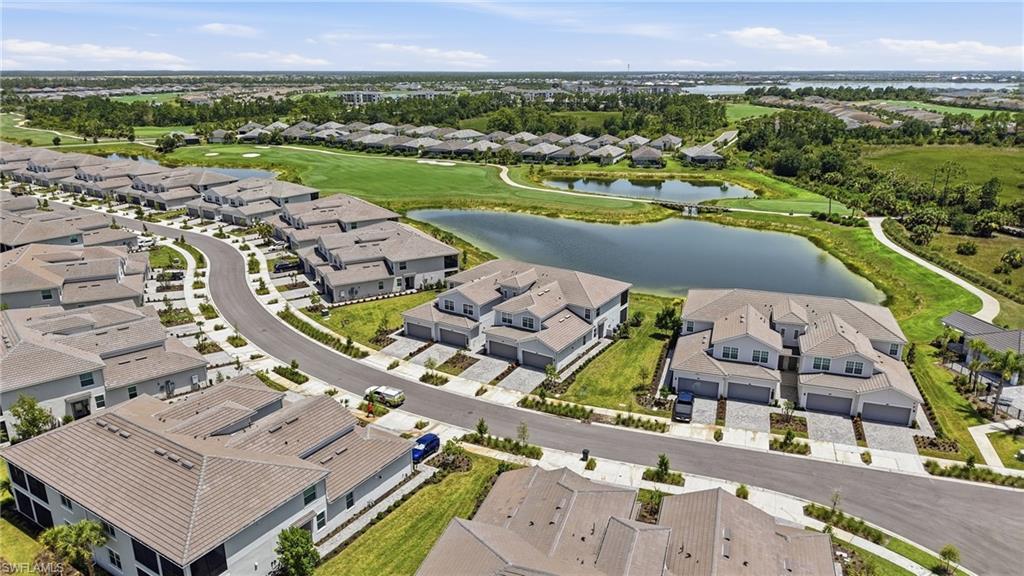 43258 Water Bird WAY 6011