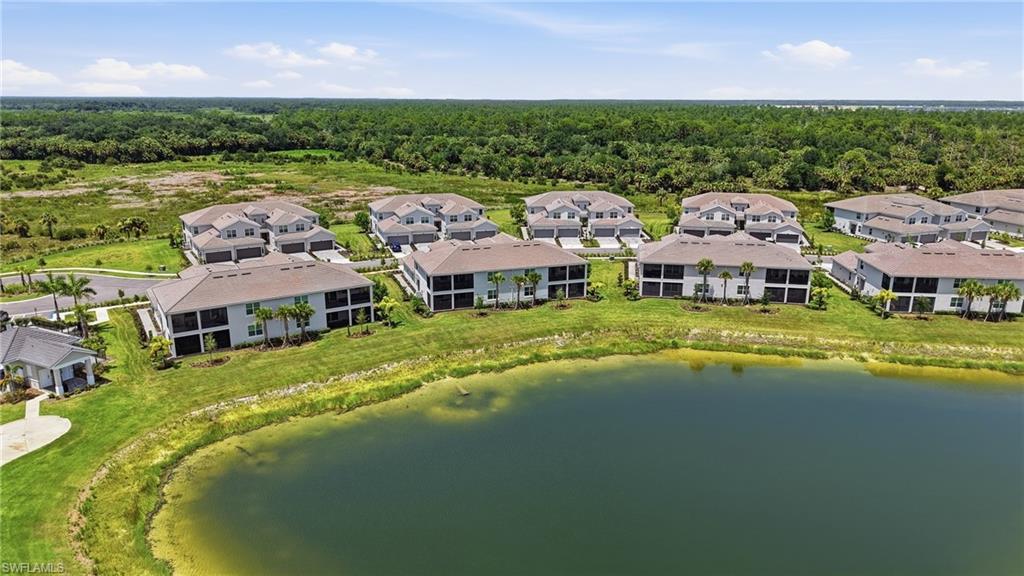 43258 Water Bird WAY 6011