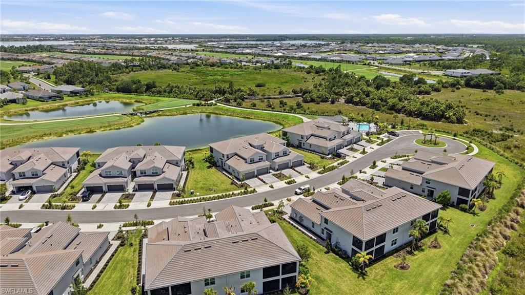43258 Water Bird WAY 6011