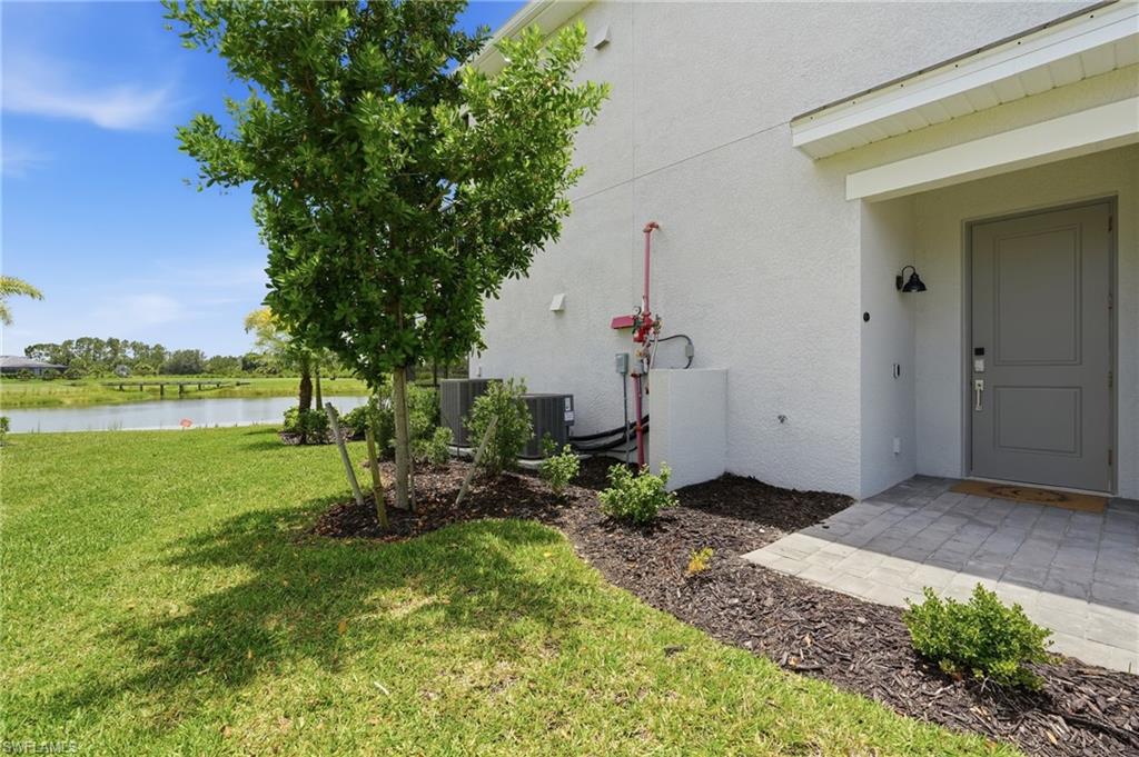 43258 Water Bird WAY 6011