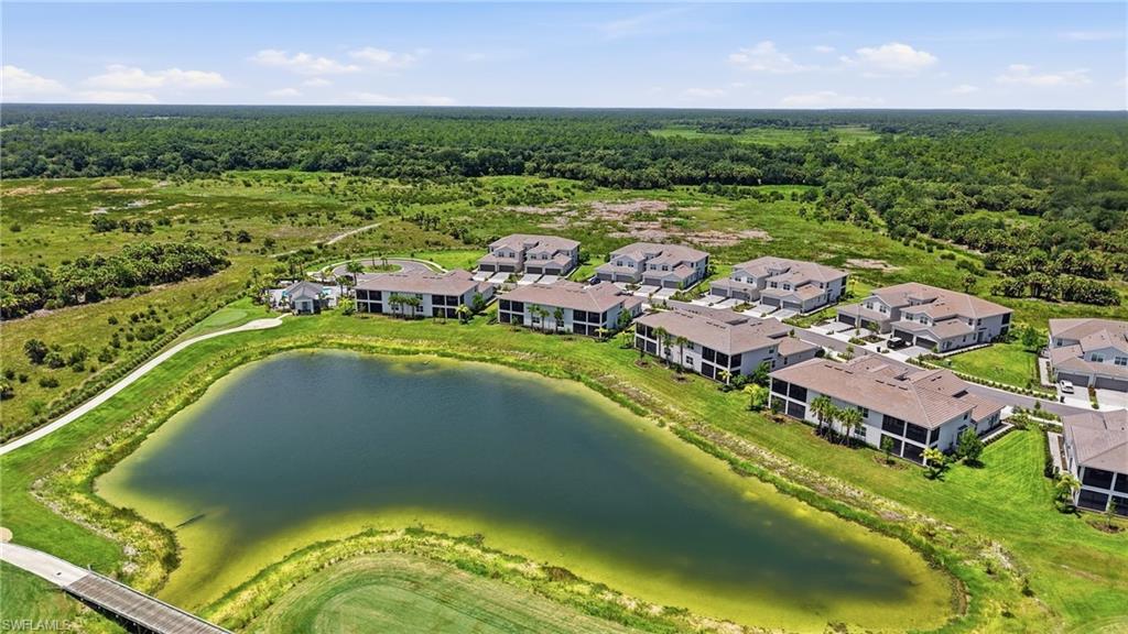 43258 Water Bird WAY 6011