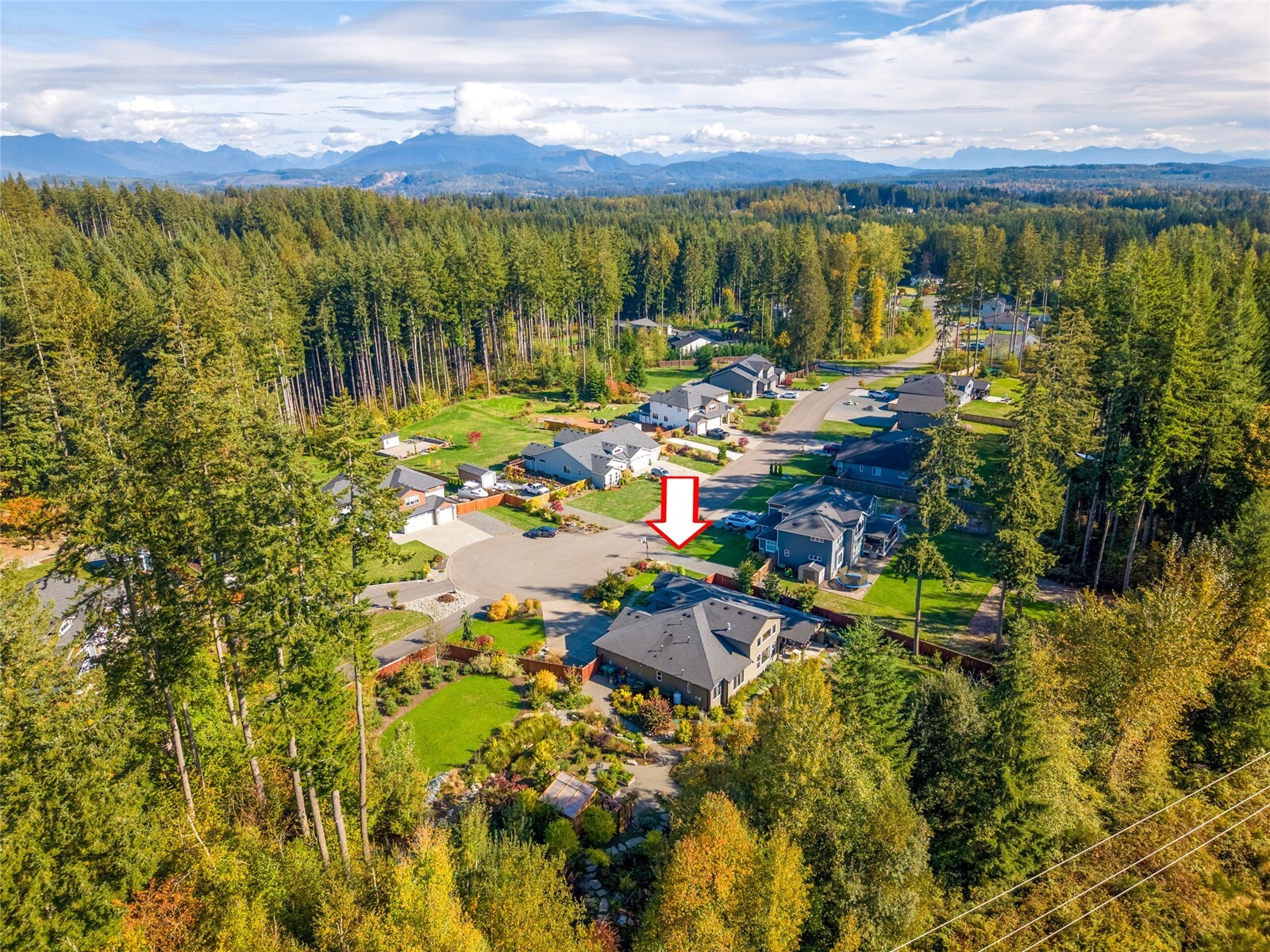 12004 137th Drive NE