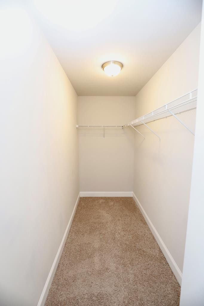 2165 CANADAIANGEESE DR