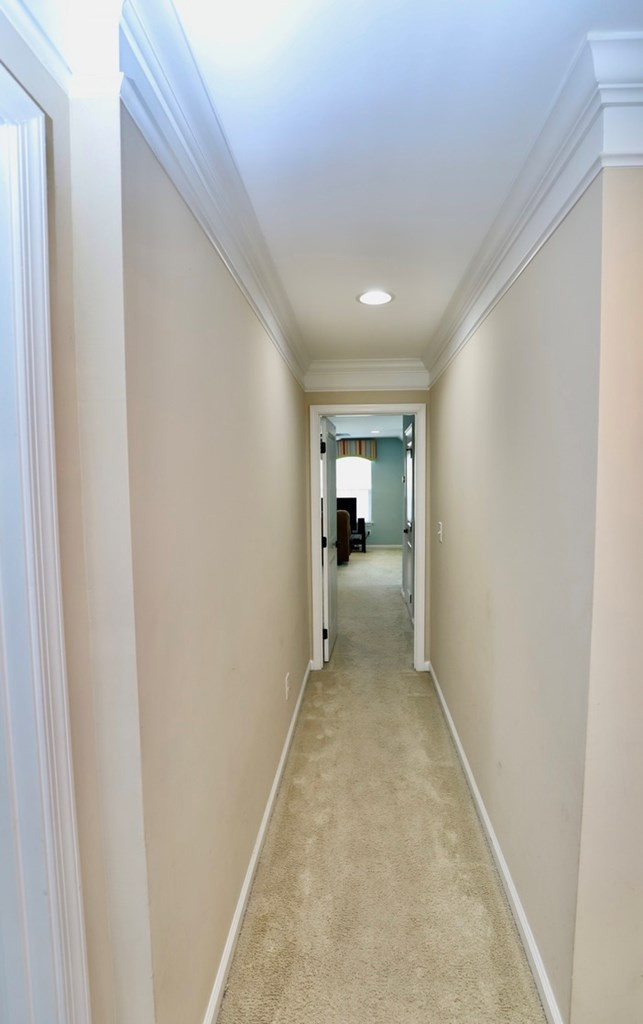 1061 Beechfern Cir