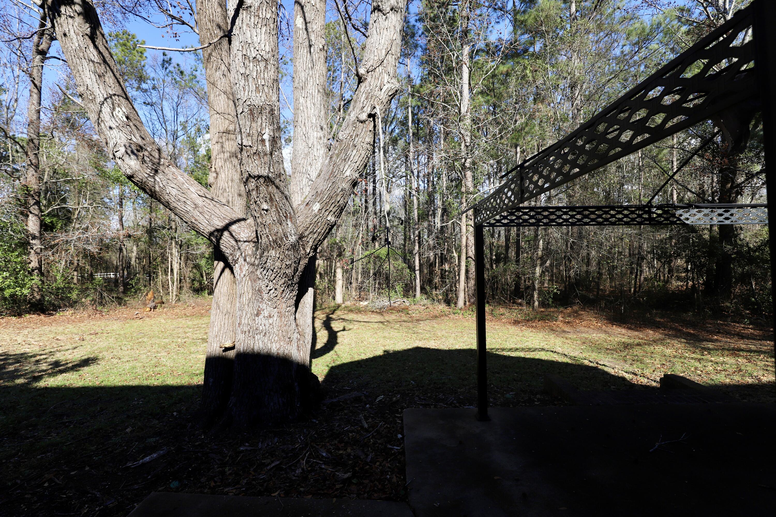 2605 Turning Leaf Lane