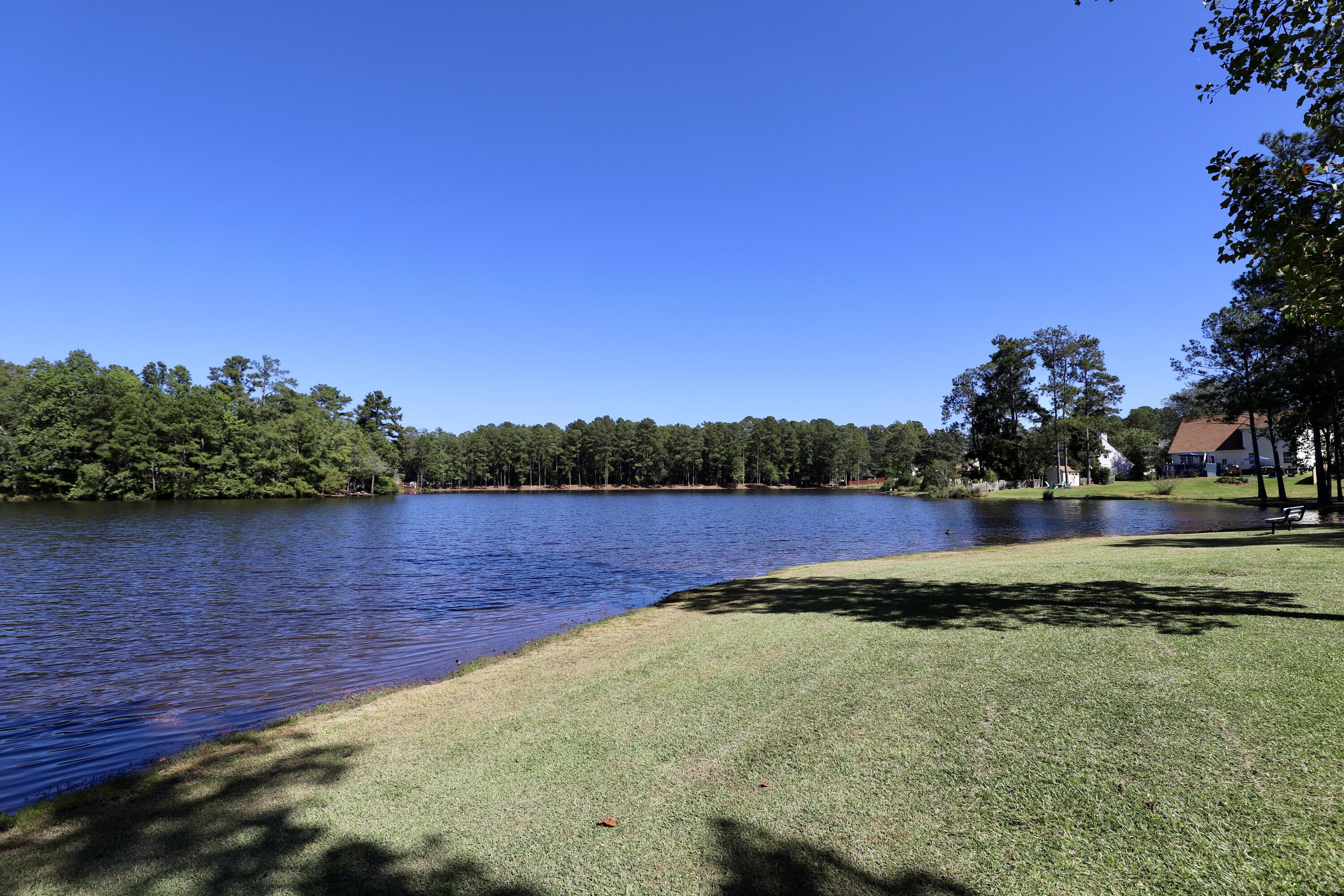 463 N High Duck Trail