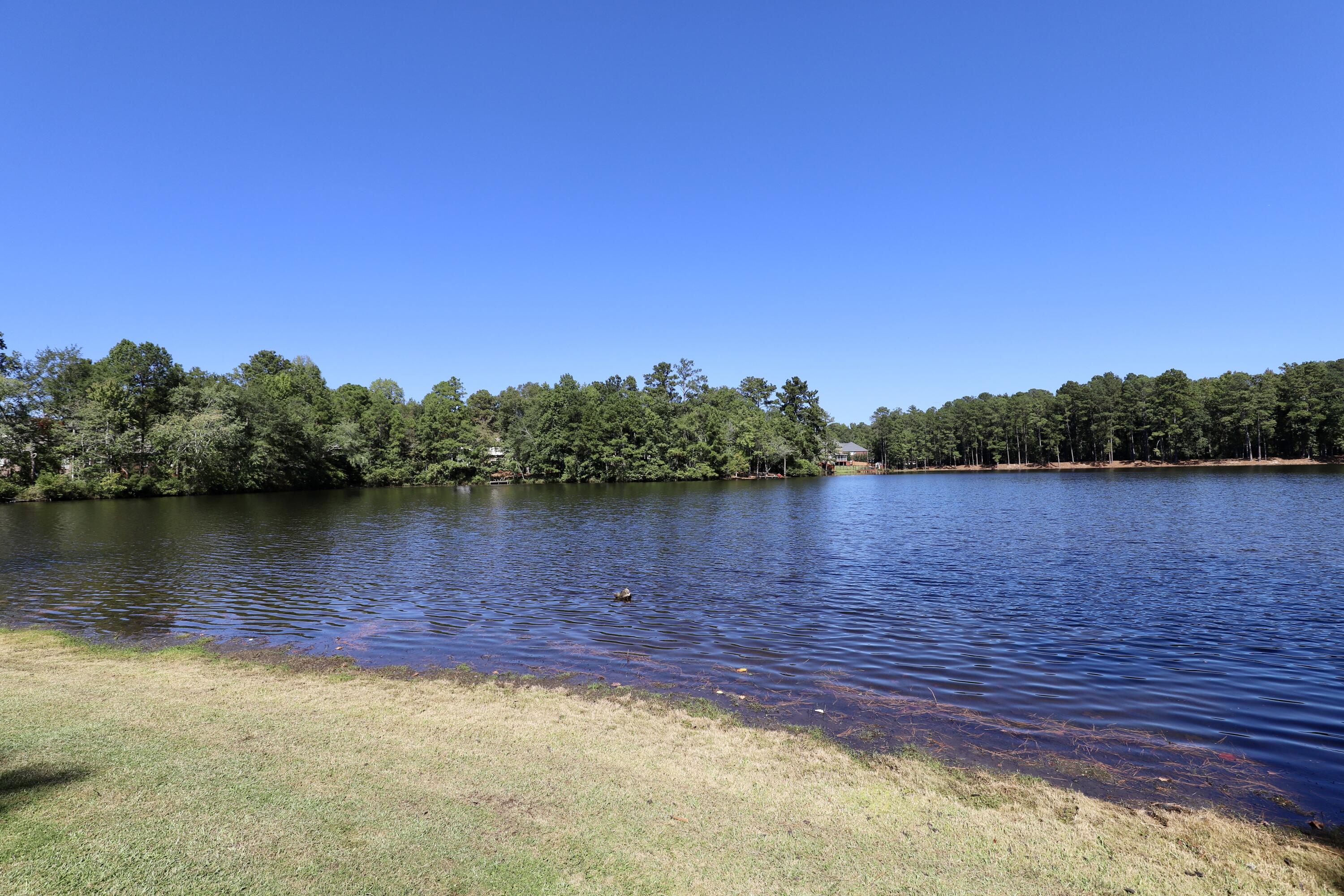 463 N High Duck Trail