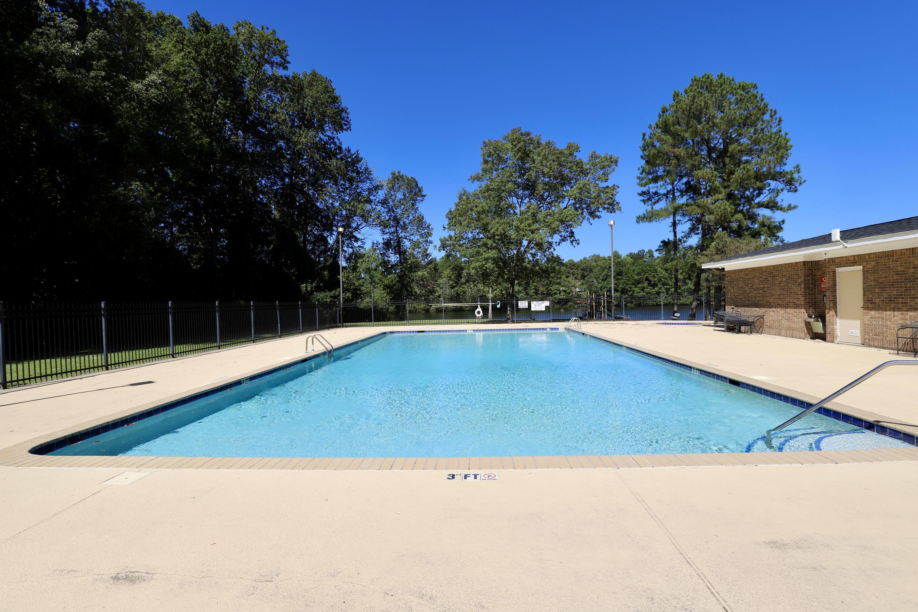 463 N High Duck Trail