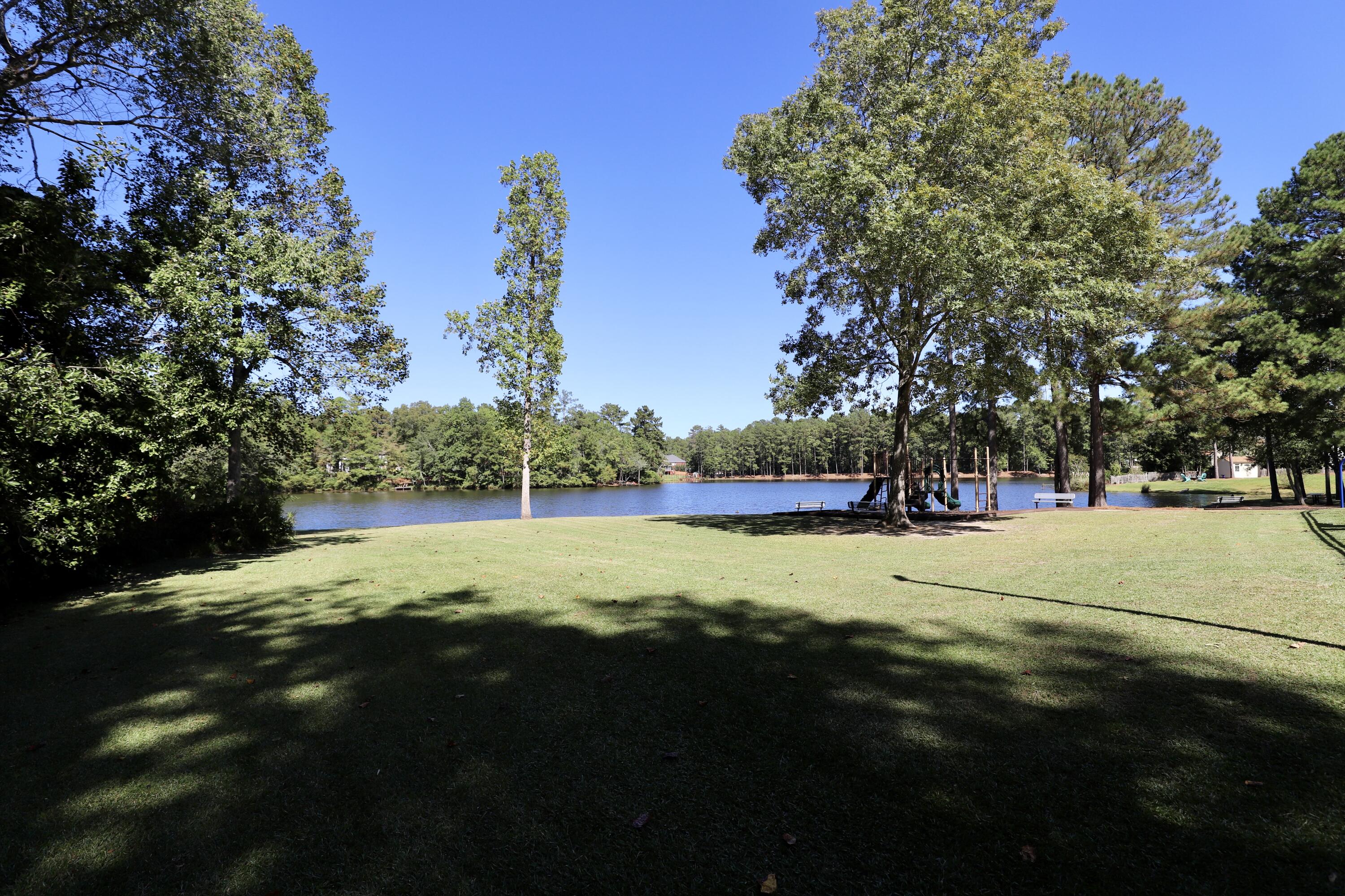 463 N High Duck Trail