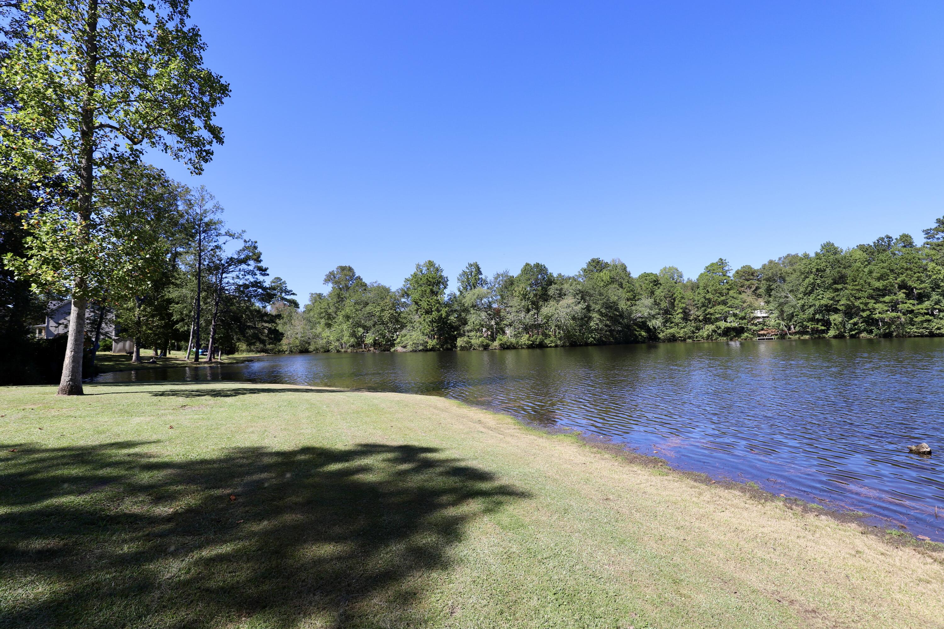 463 N High Duck Trail