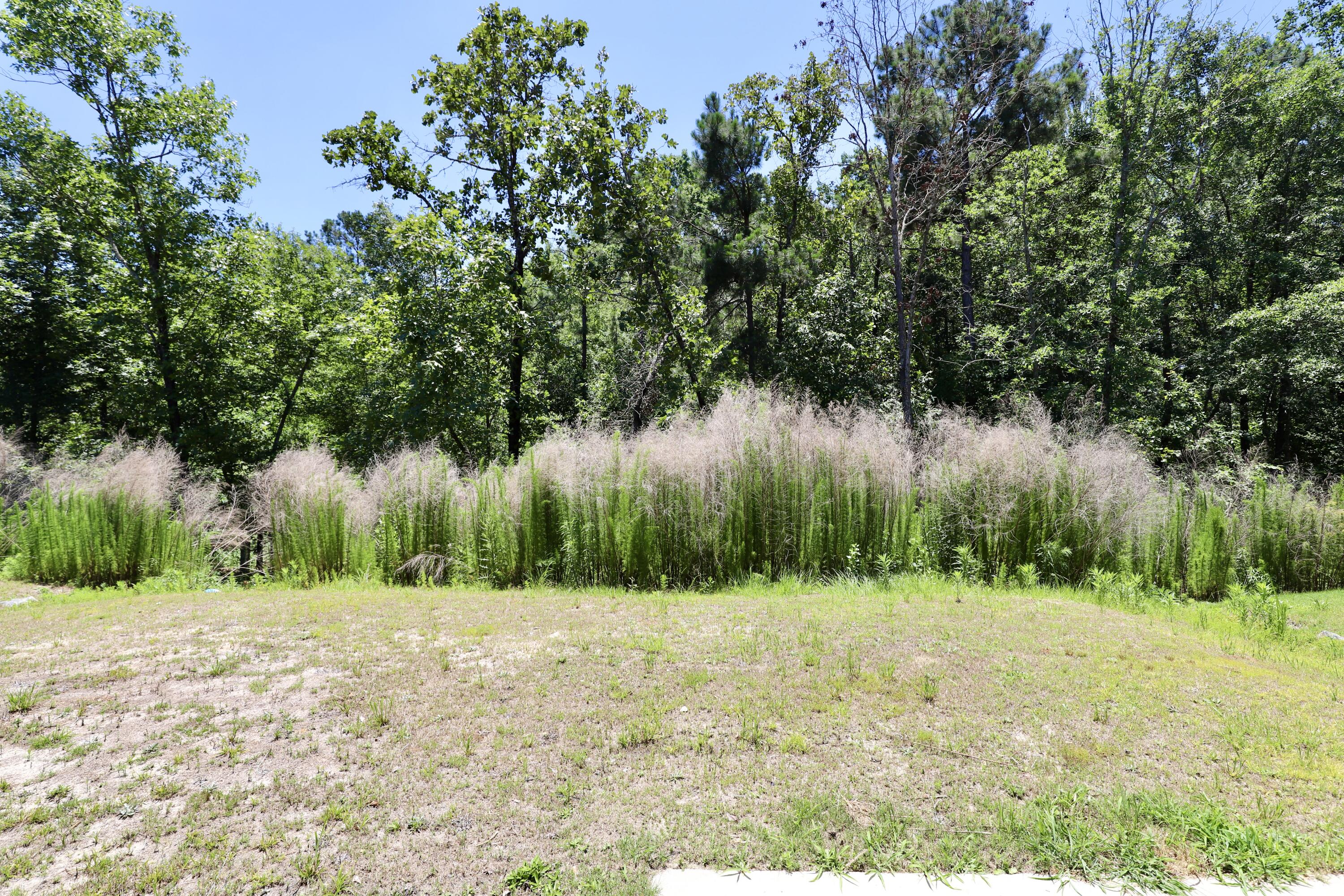 463 N High Duck Trail