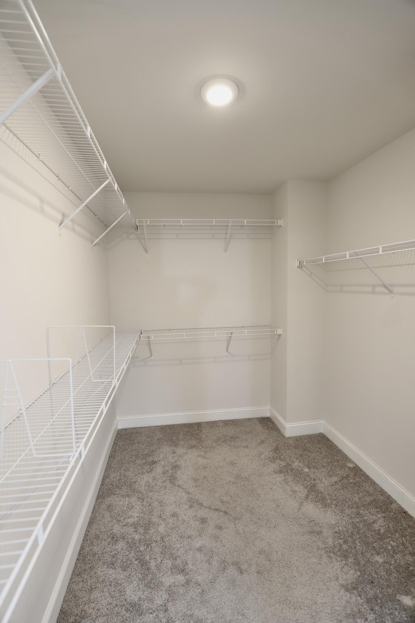 870 Curlew Circle