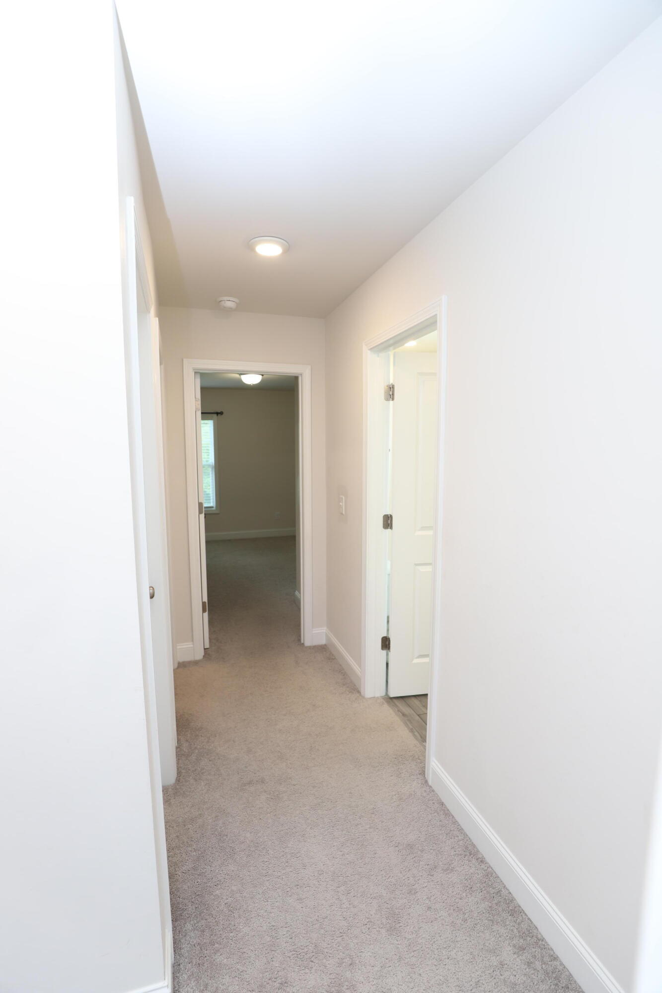 870 Curlew Circle