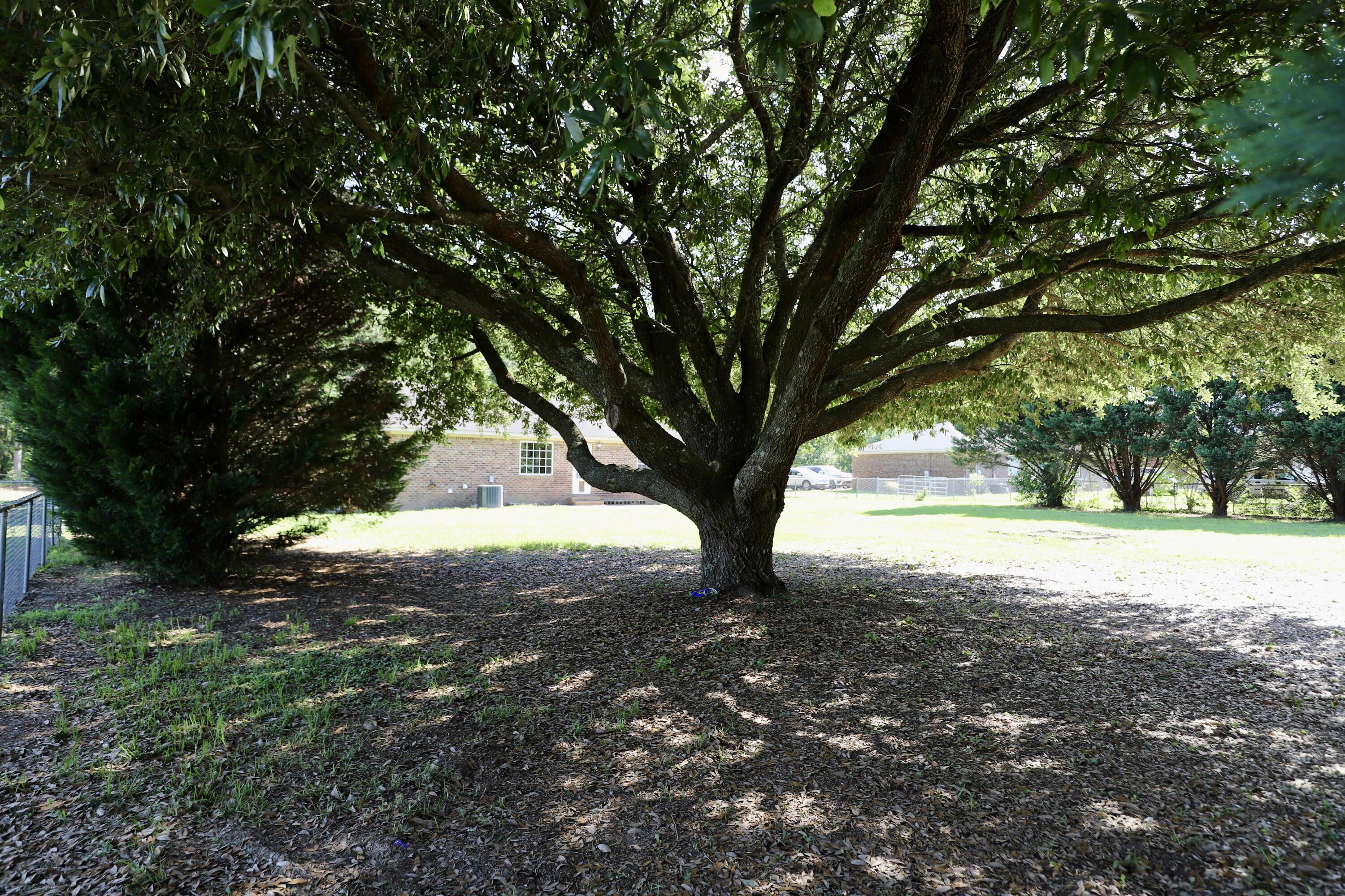 3643 Red Lane Road