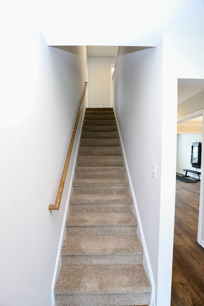 3680 Moseley Drive