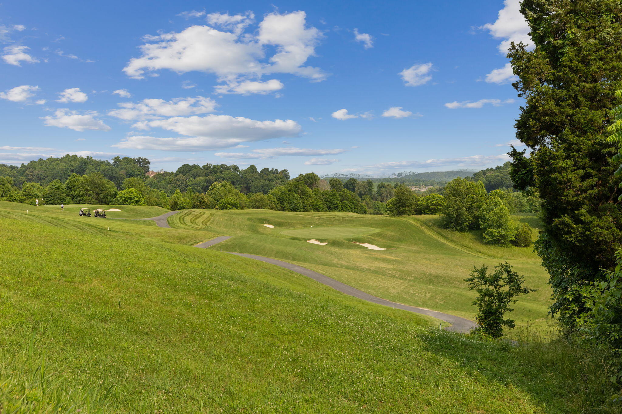 Tbd Chestnut Ridge Drive