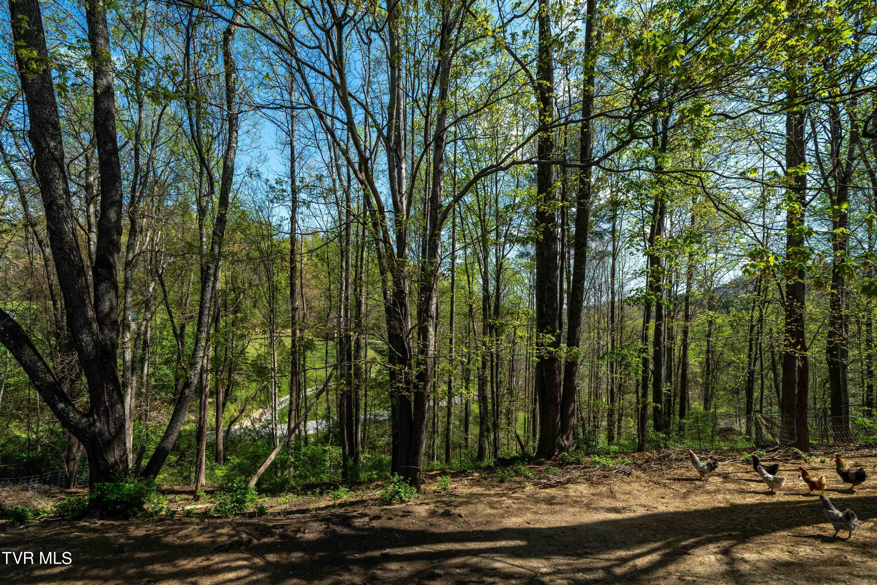 105 Green Acres Drive