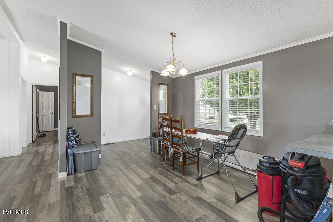 1103 Sycamore Creek Drive