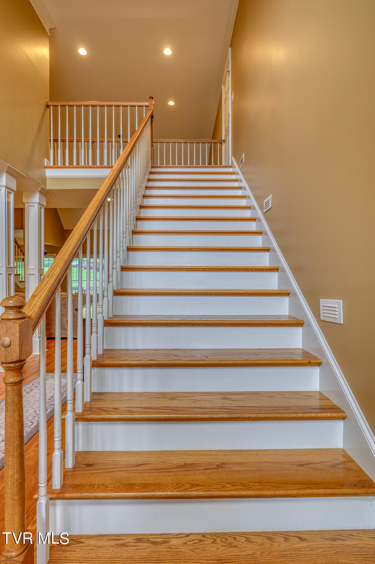 1010 Willows Trace Drive