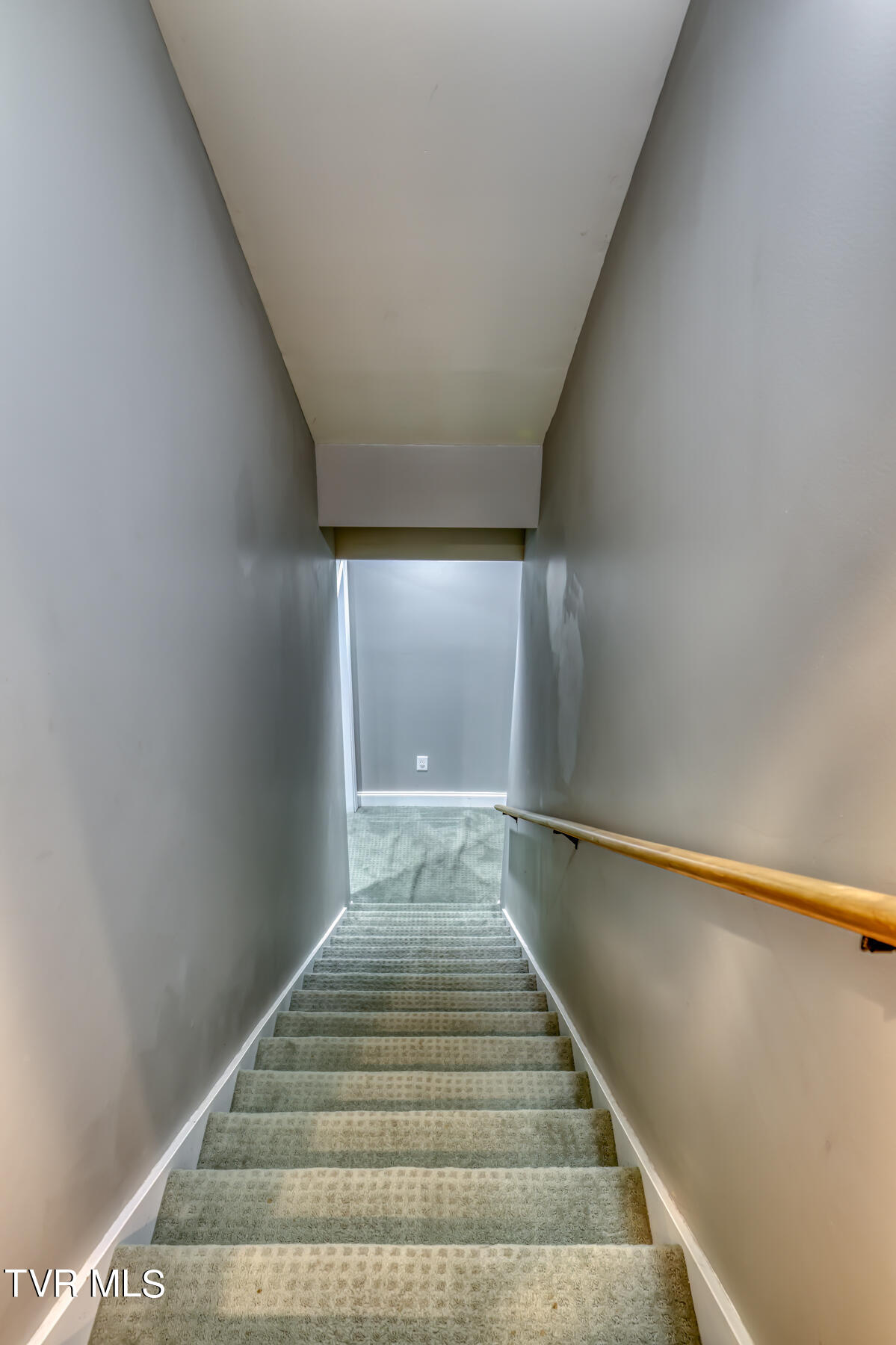 1010 Willows Trace Drive