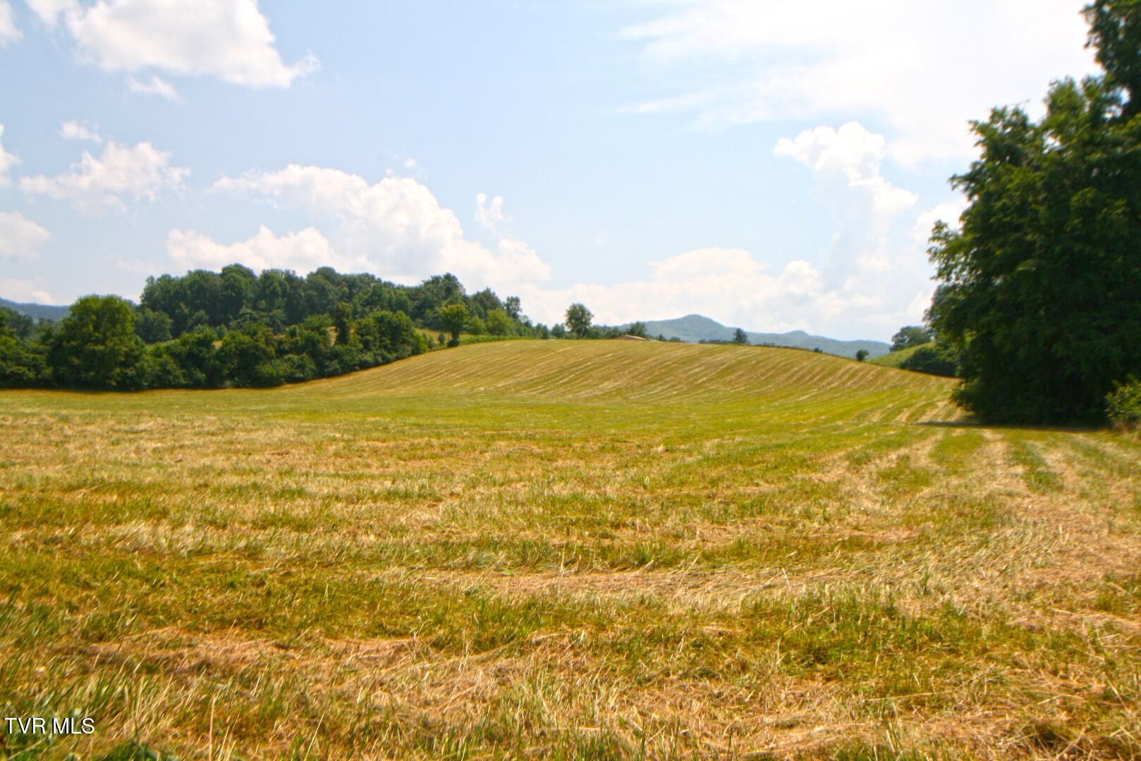 637 Long Hollow Road