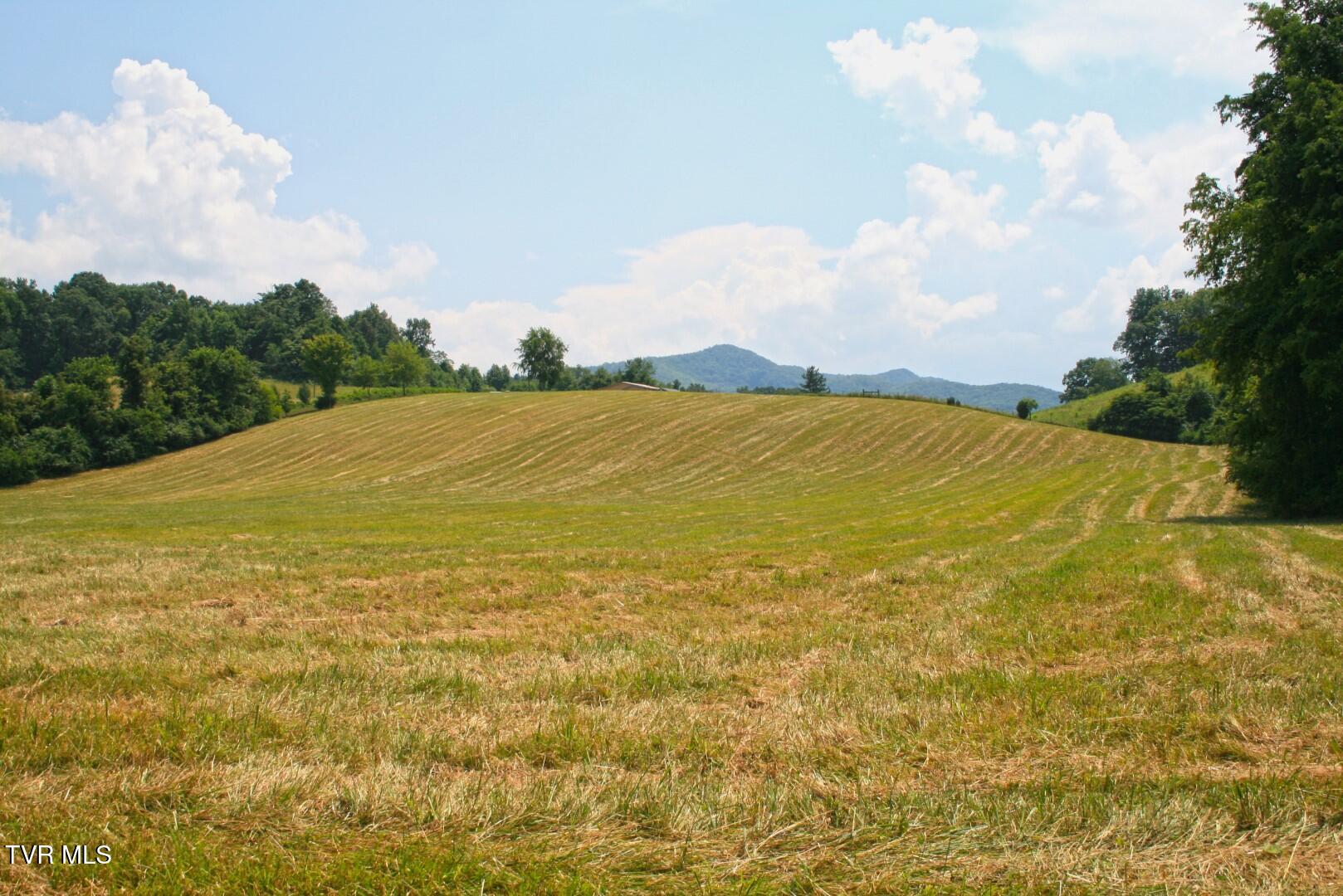 637 Long Hollow Road