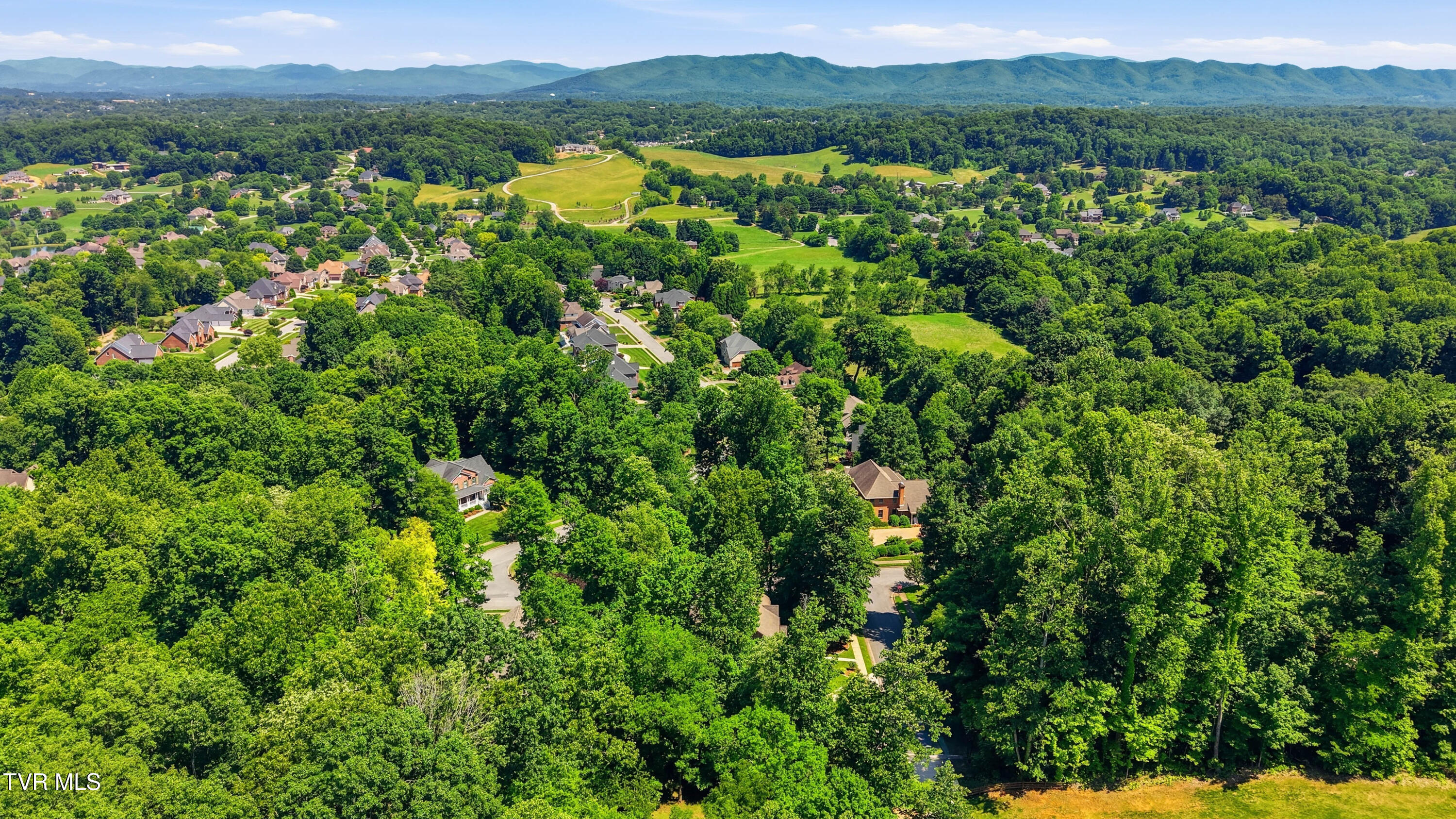 412 Shade Tree Way