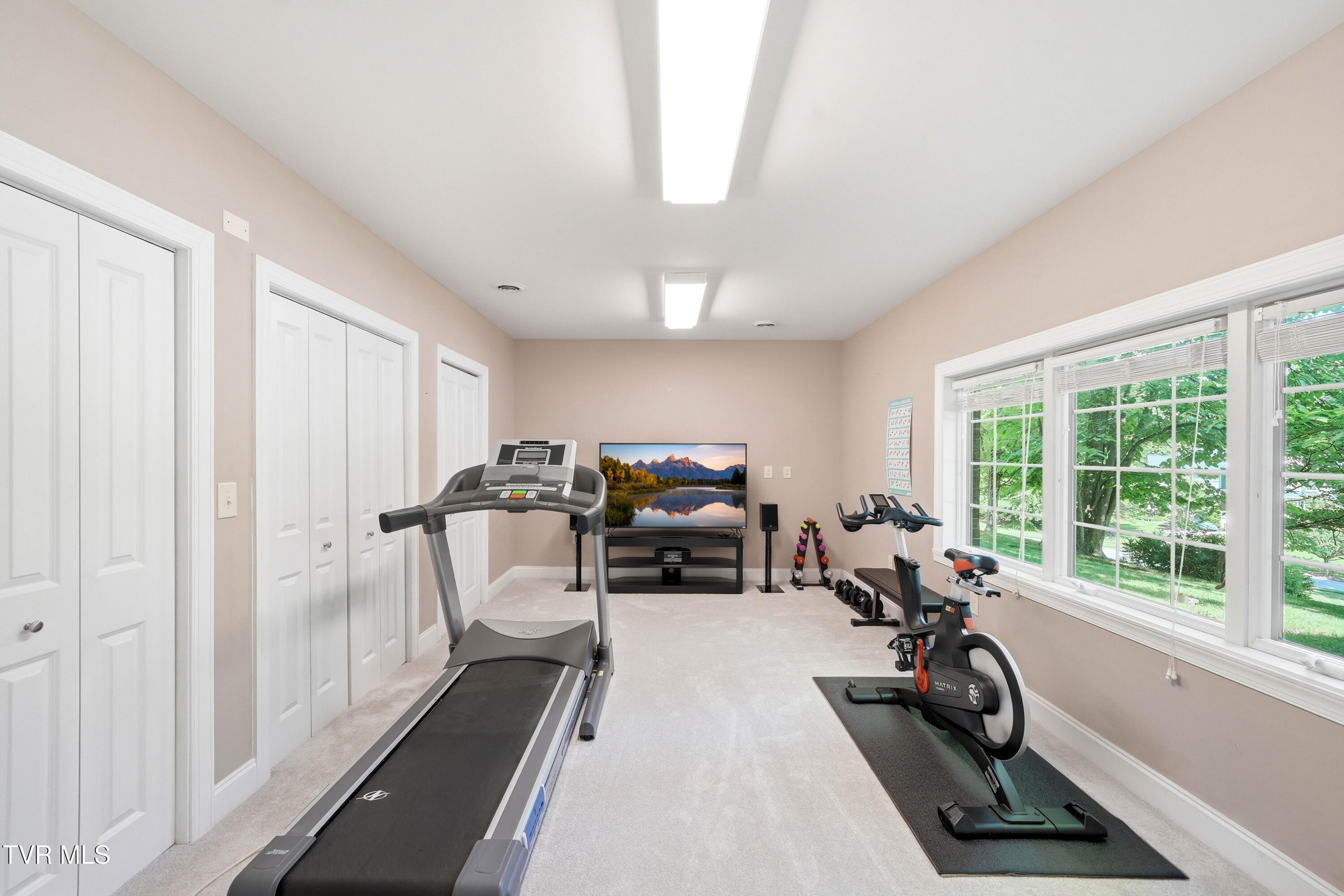 412 Shade Tree Way
