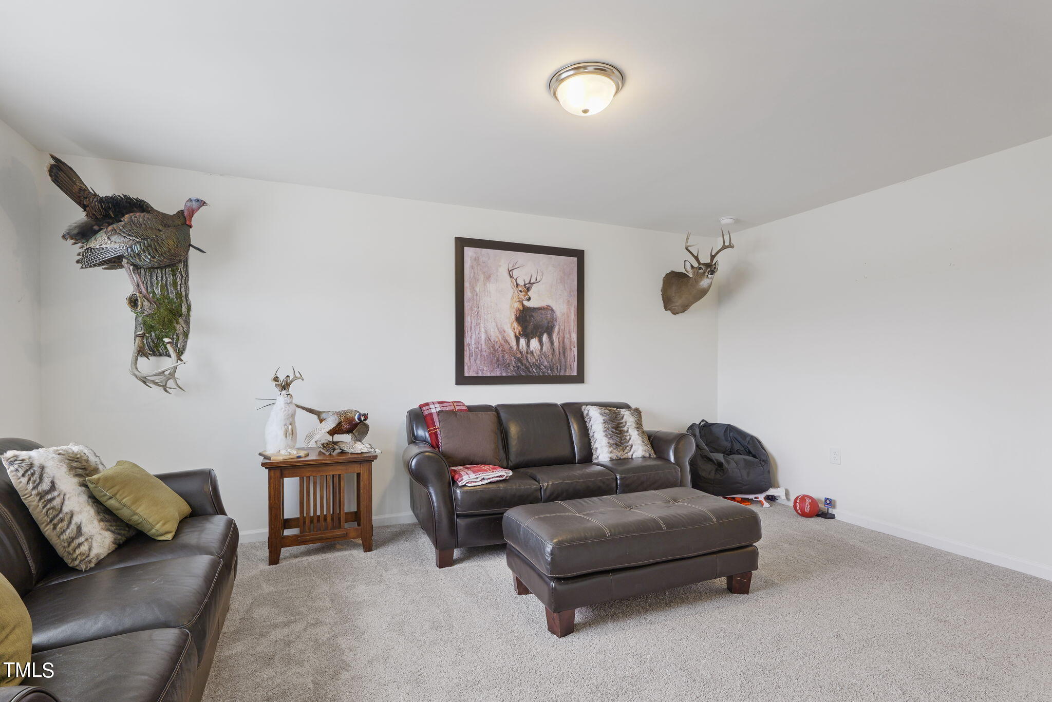 504 Frontera Court