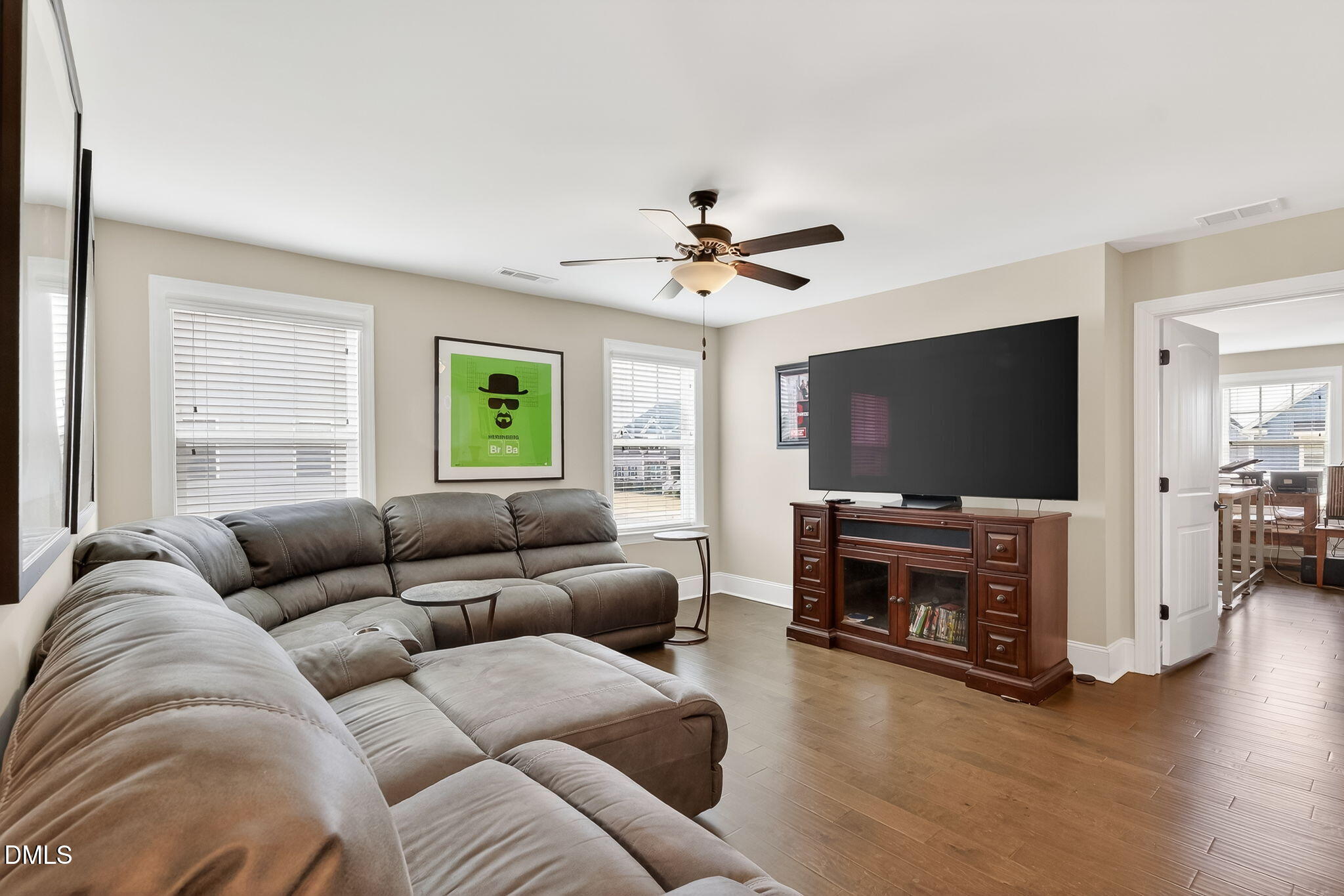 524 Dungannon Loop