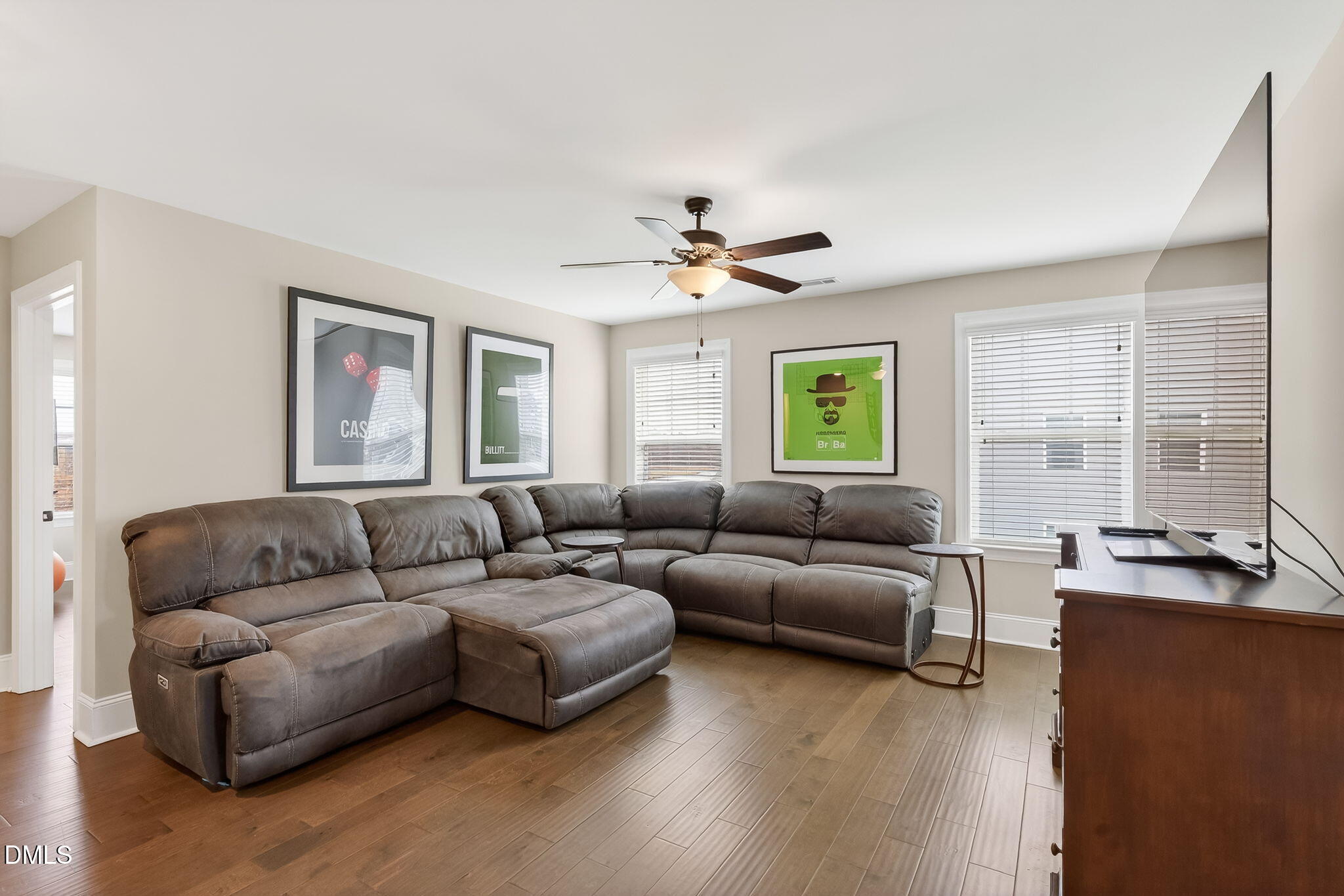 524 Dungannon Loop