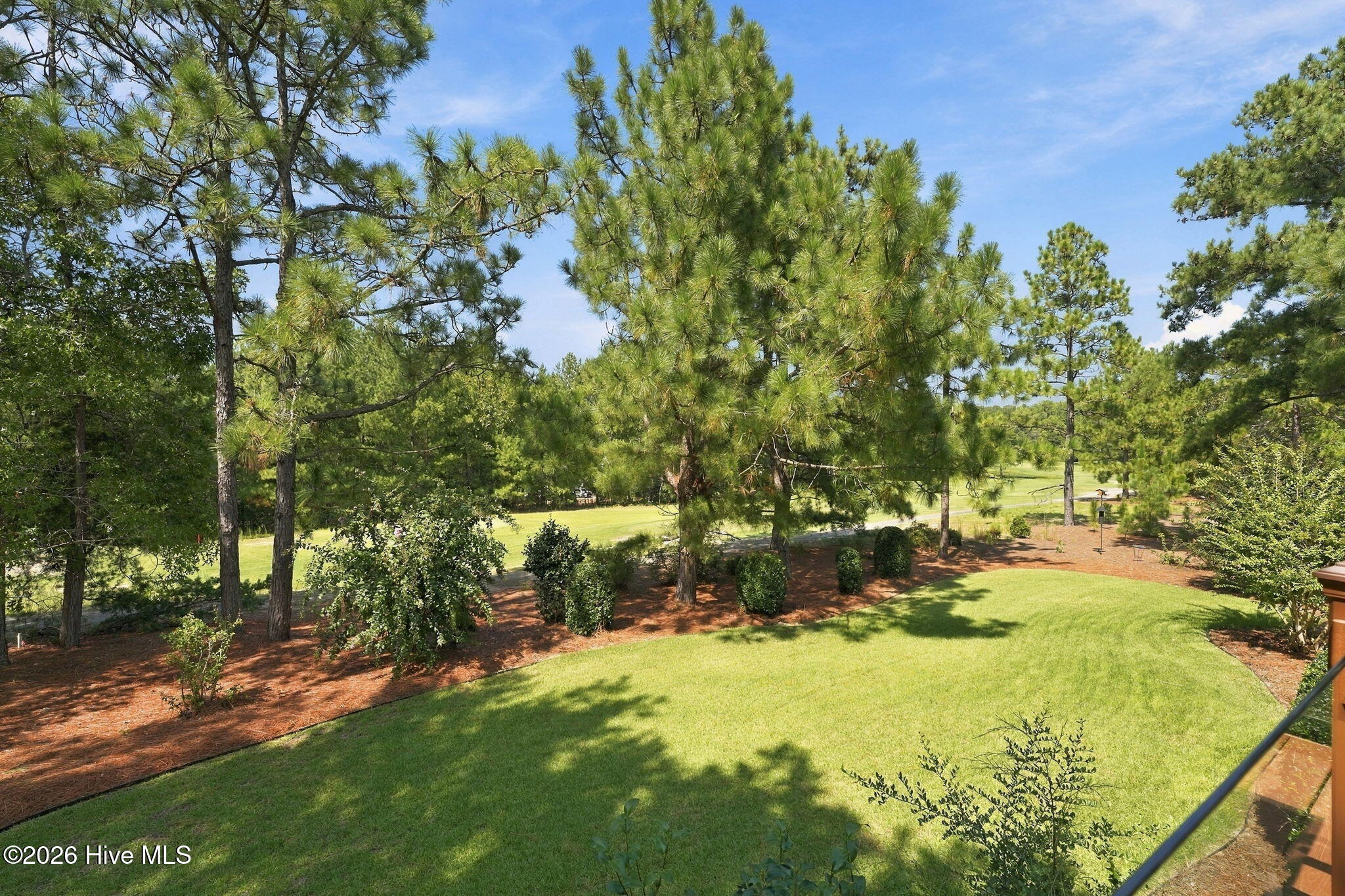 Landscaped backyard with a sunny lawn, mature pines, and a golf course beyond.