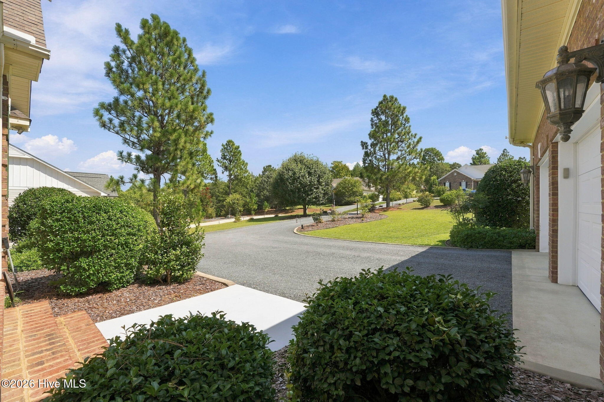Landscaped driveway and front yard with trimmed shrubs, a curving drive, and tall pine trees.