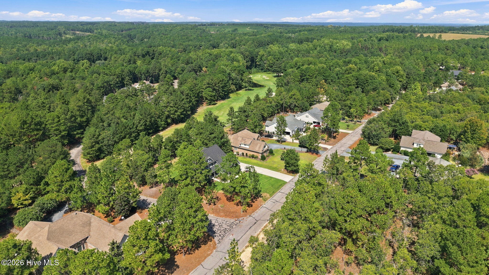 Aerial view of homes among pine trees, with a golf course fairway in the distance.