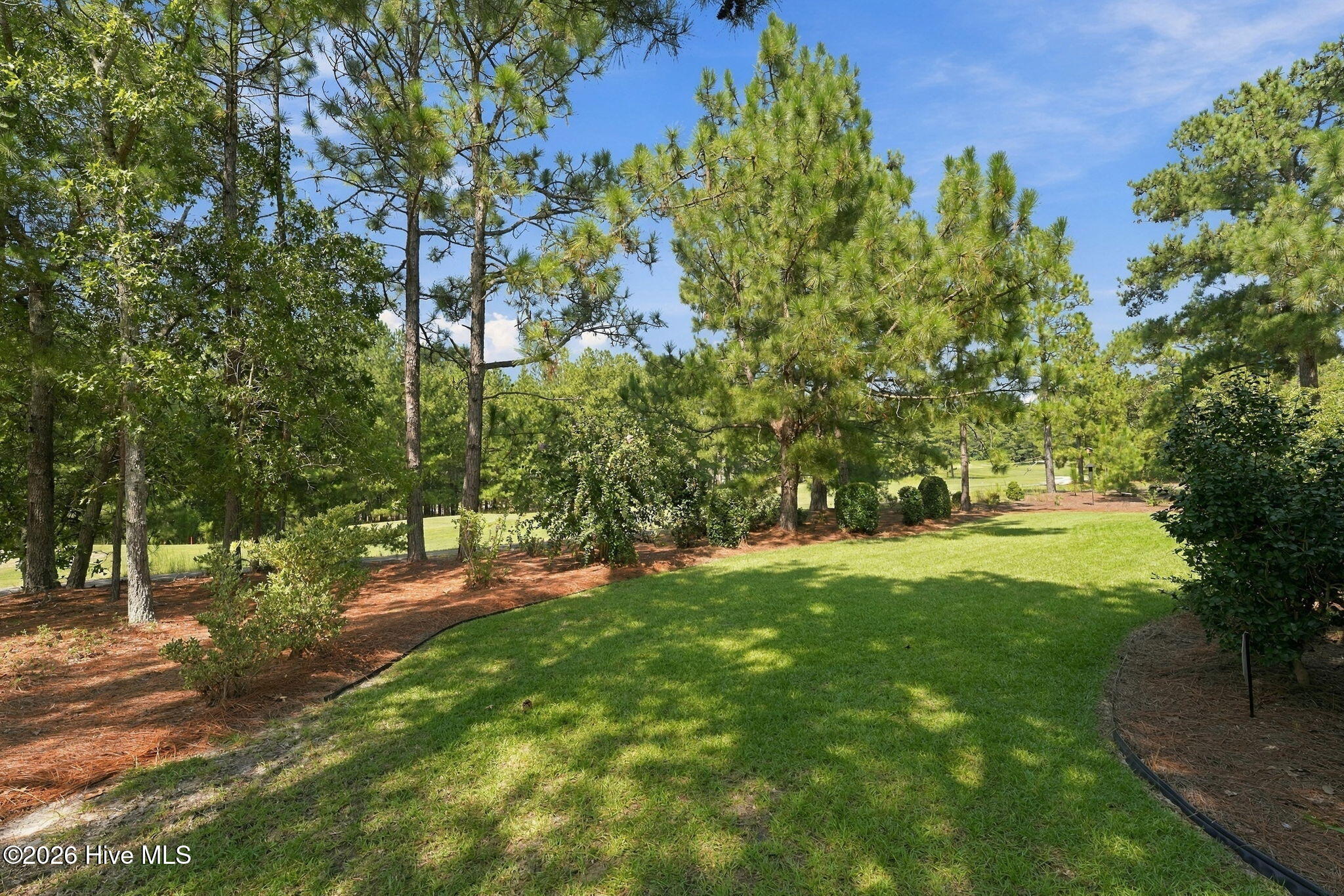 Landscaped yard with a green lawn, mature pines, and curved pine-straw beds.