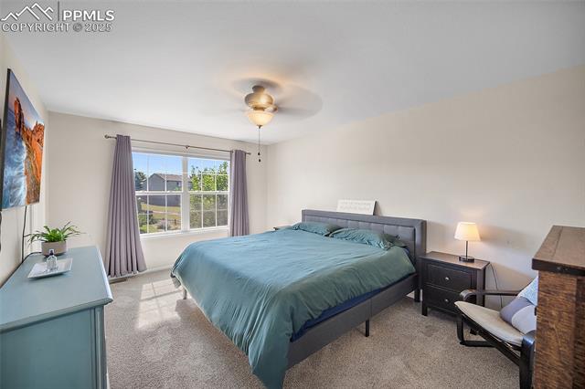 3850 Springs Ranch Drive