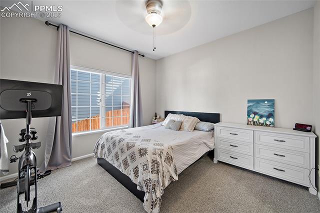 3850 Springs Ranch Drive