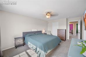 3850 Springs Ranch Drive